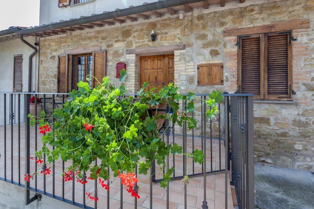 Casa Di Campagna, Assisi Apartment Sterpeto Екстериор снимка